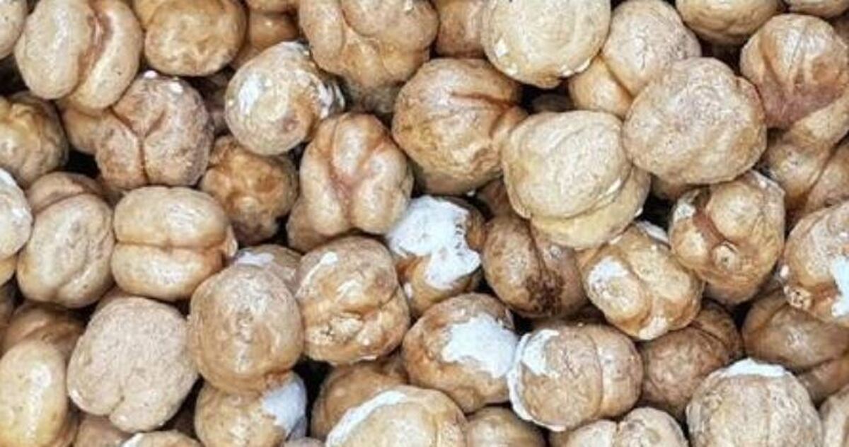 ۱۵ خاصیت باورنکردنی مصرف نخودچی/از معده گرفته تا مو را درمان می‌کند!