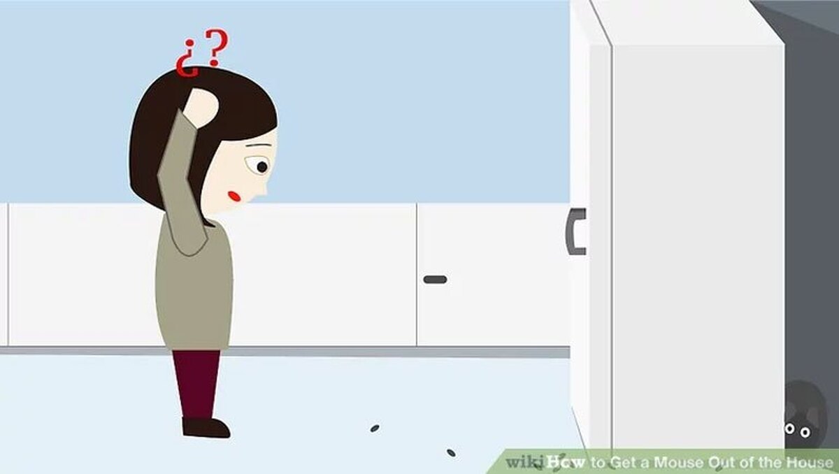 چند نکته کاربردی برای جلوگیری از ورود موش ها به داخل خانه
