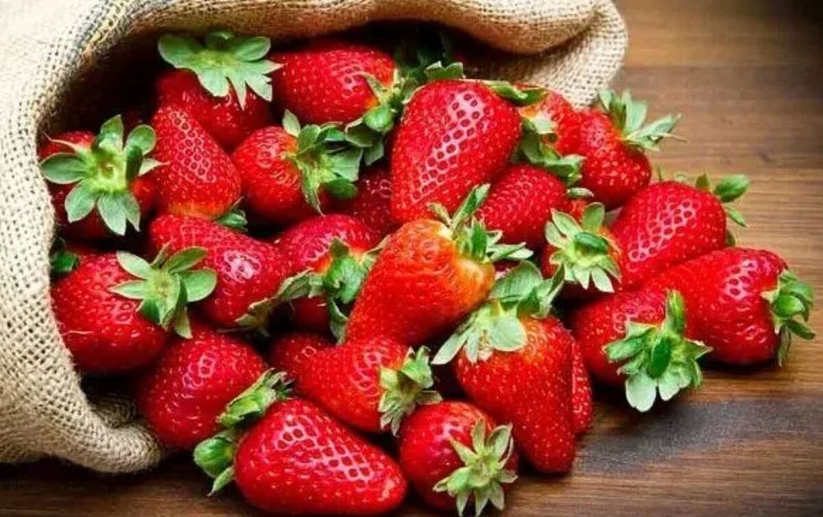 «توت فرنگی» راه حلی برای درمان آلرژی‌های مختلف