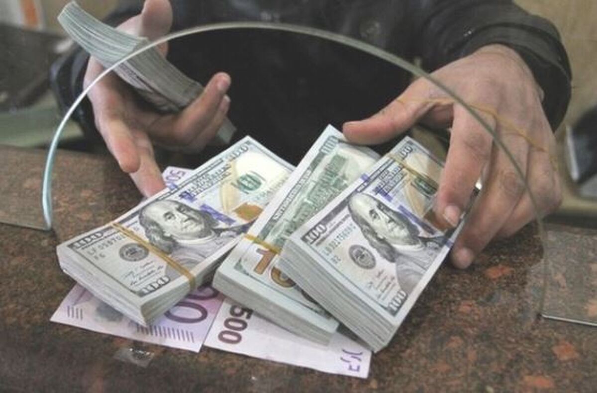 التهاب در بازار ارز و سکه پس از اعلام نرخ وزیر اقتصاد