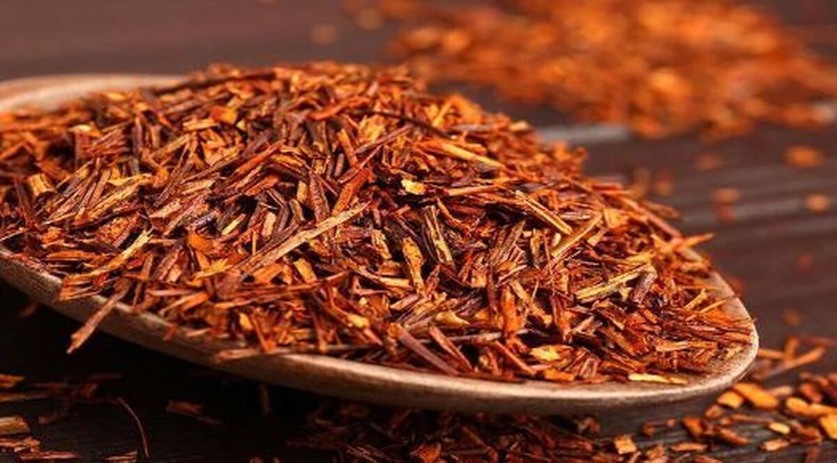 از خواص بی شمار چای رویبوس برای سلامتی غافل نشوید