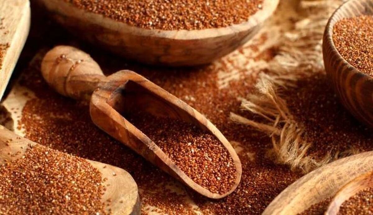 خاکشیر دشمن کبد چرب / با این گیاه دارویی تمام مشکلات کبد رفع می‌شود