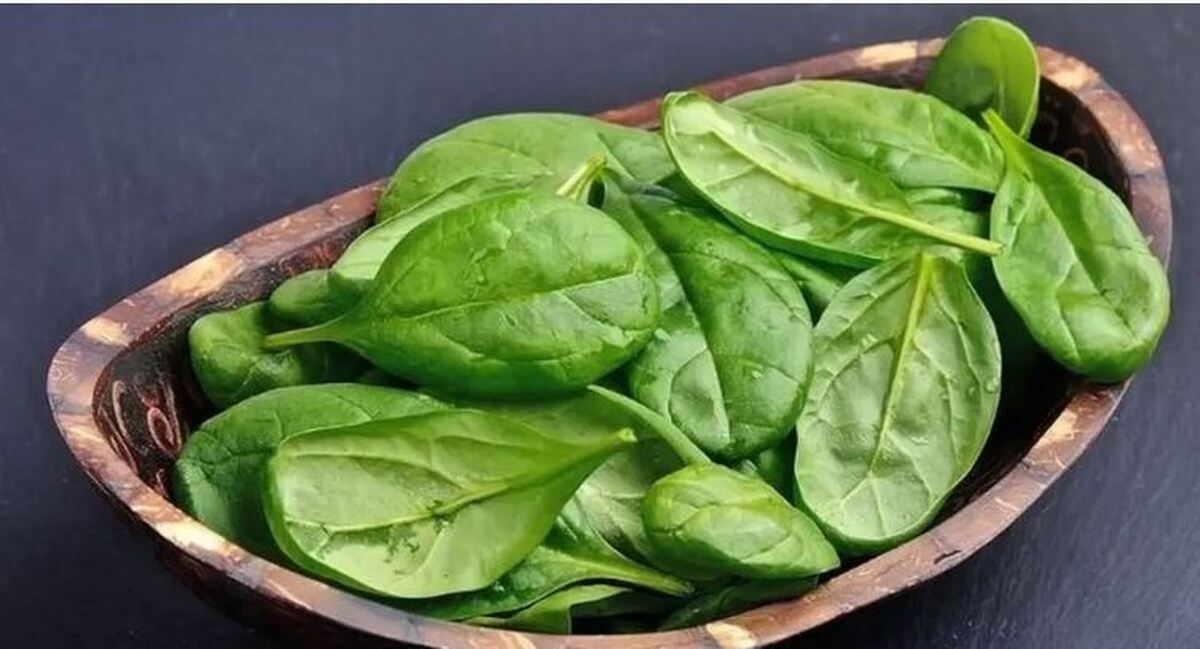 با این سبزی فوق العاده نیاز بدن به آهن را کاملا جبران کنید