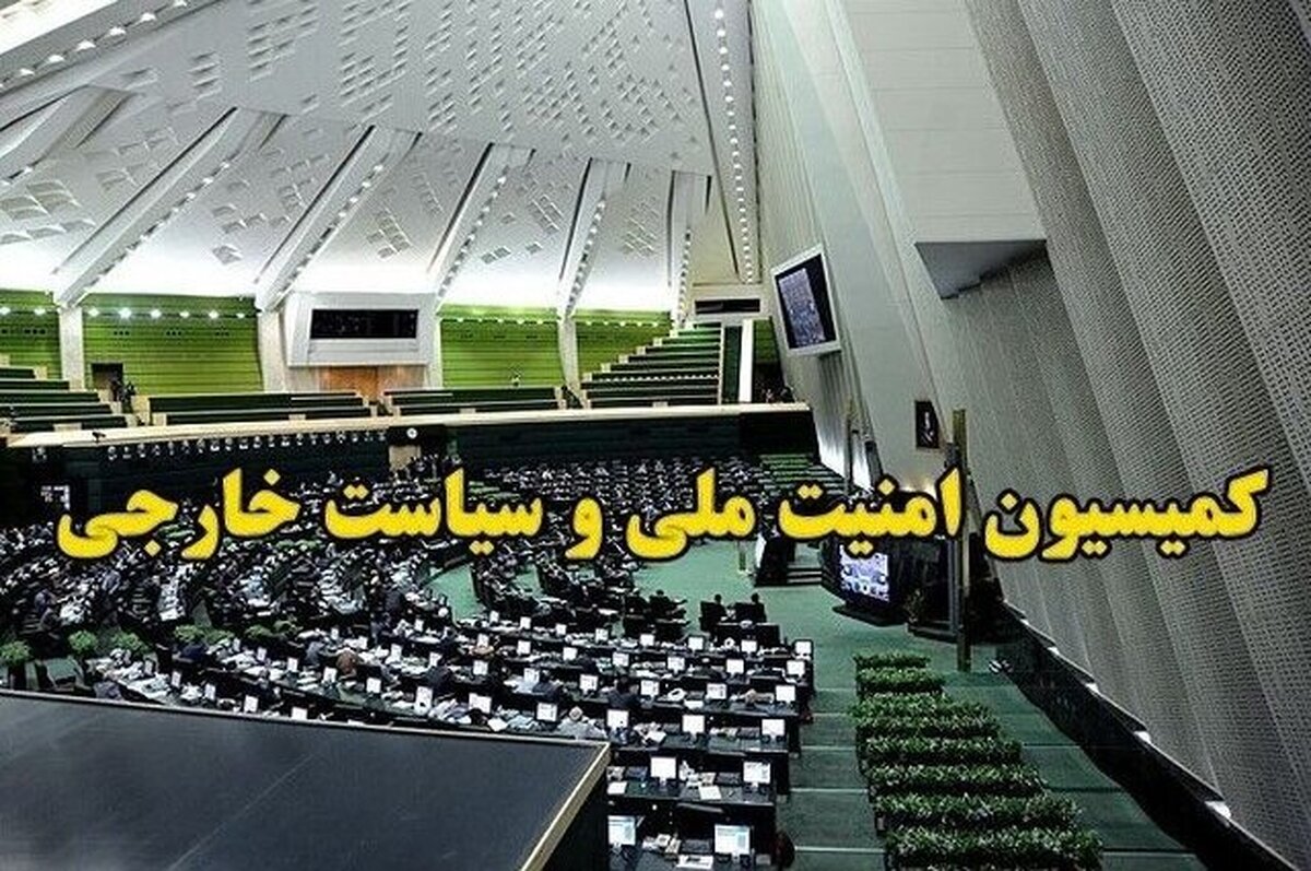 جلسه مشترک کمیسیون امنیت ملی با معاون کمیته دومای روسیه