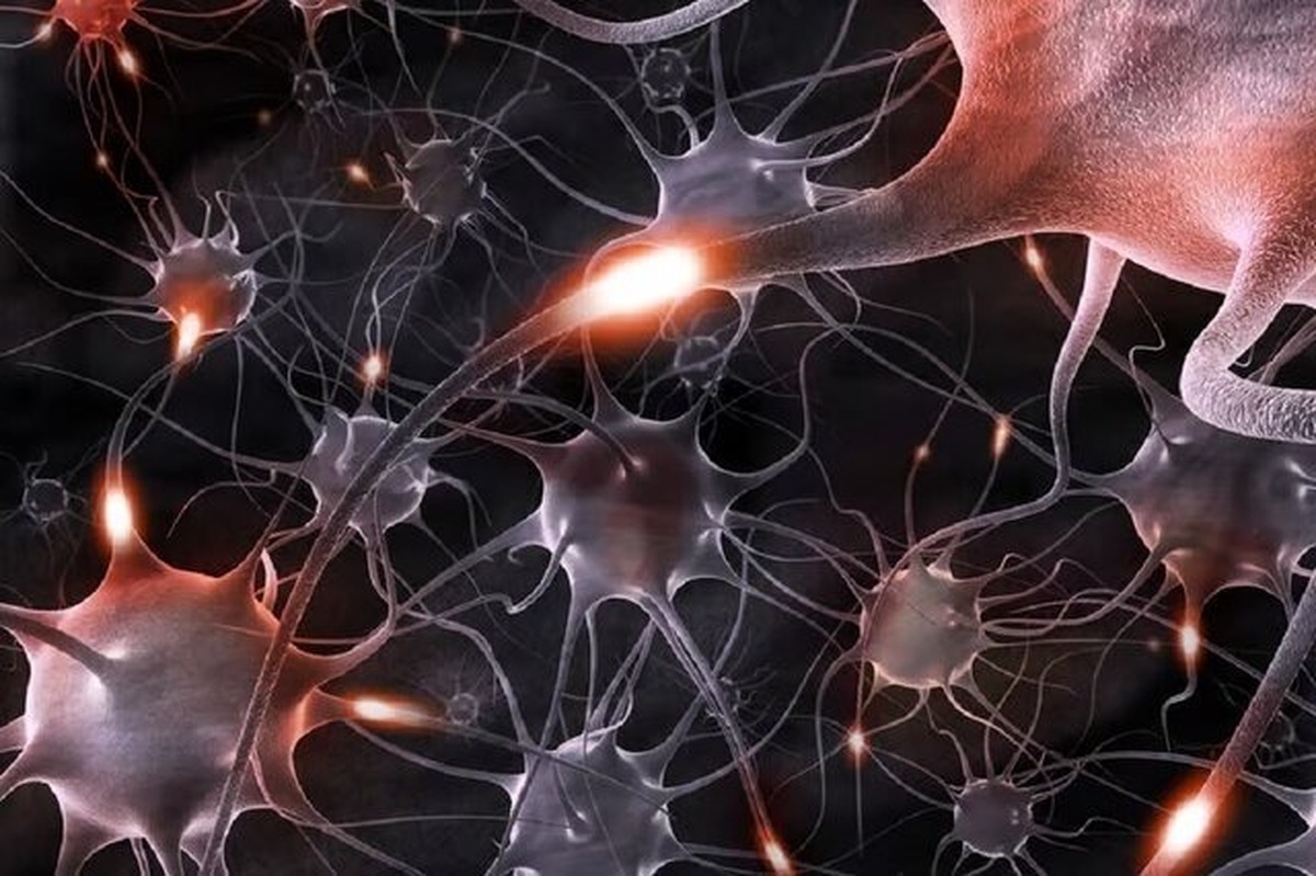 پیشرفتی چشمگیر در تحویل mRNA به انواع سلول‌ها!