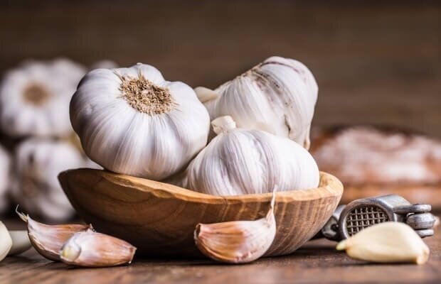 بهترین مکان برای نگهداری از سیر کجاست؟