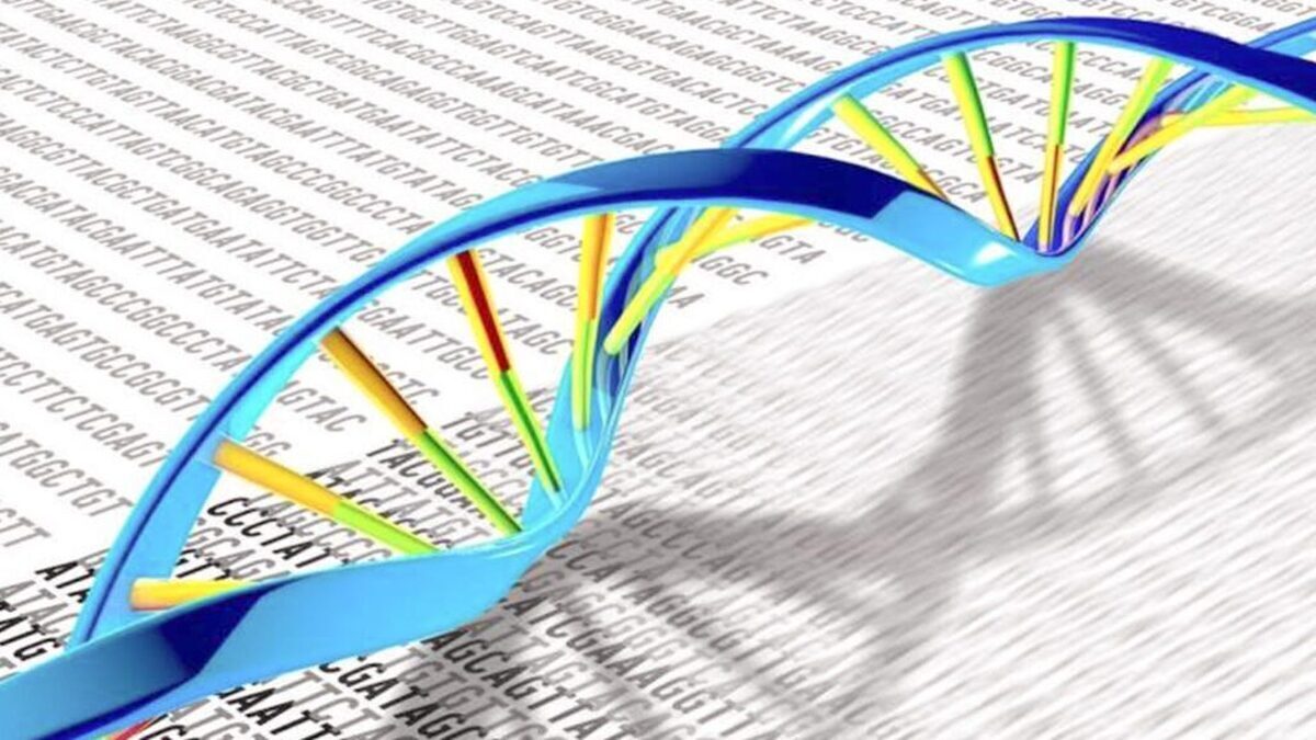 کنترل فعالیت نانوماشین‌ها با کمک تایمری از جنس DNA
