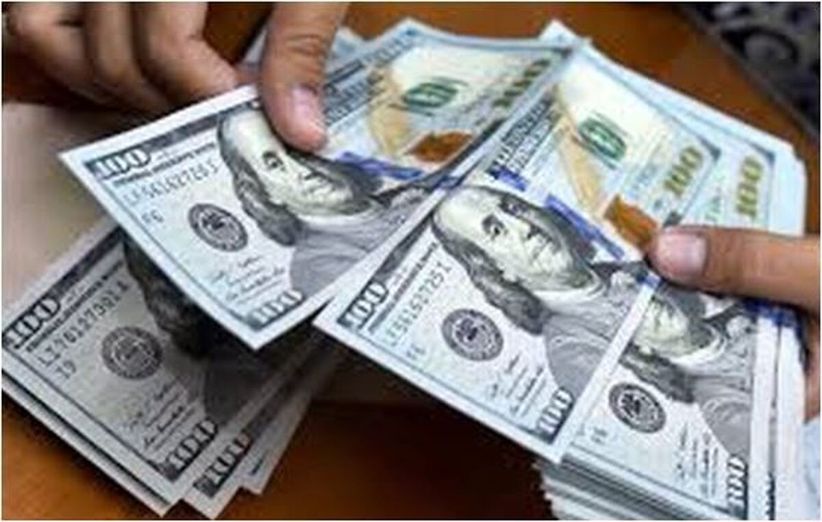 عملکرد وزارت امور اقتصاد و دارایی در بازار ارز قابل دفاع نیست!
