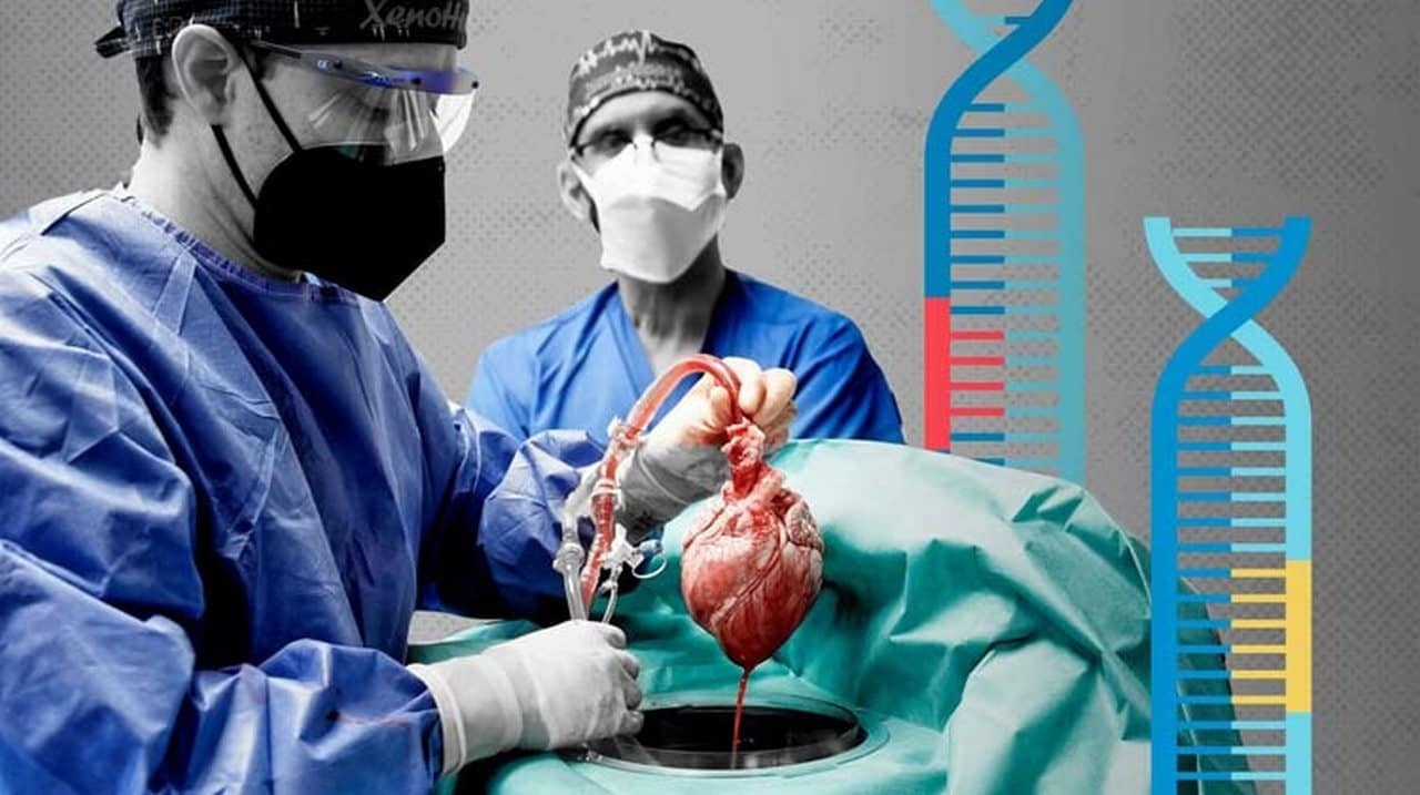 یافته‌های جالب درمورد چرایی تغییر خلق و خو بعد از عمل پیوند!