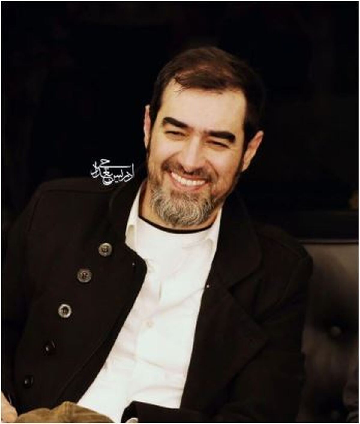 دونفره‌های عاشقانه شهاب حسینی و مادر مهربانش پر بازدید شد