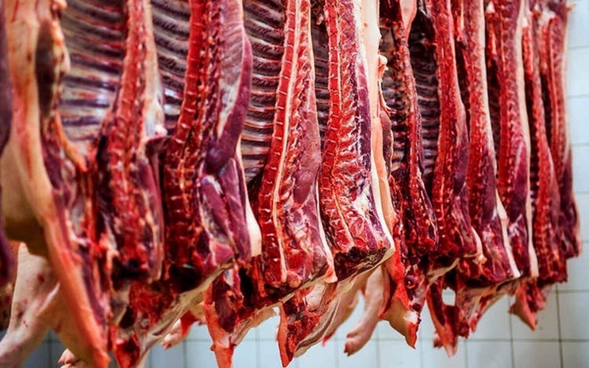 واردات جهت تعادل بازار گوشت قرمز مدیریت شود
