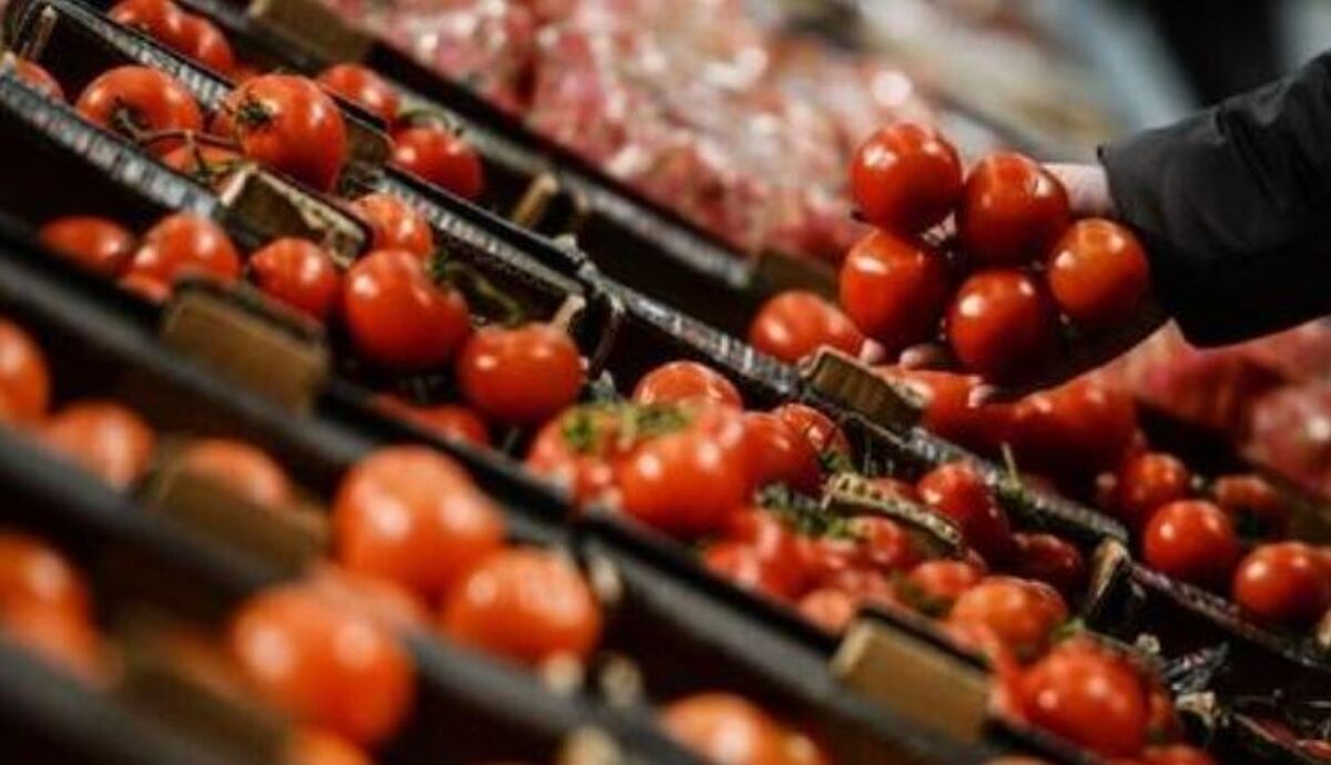 گوجه فرنگی بخورید تا از ابتلا به بیماری‌های مختلف پیشگری کنید