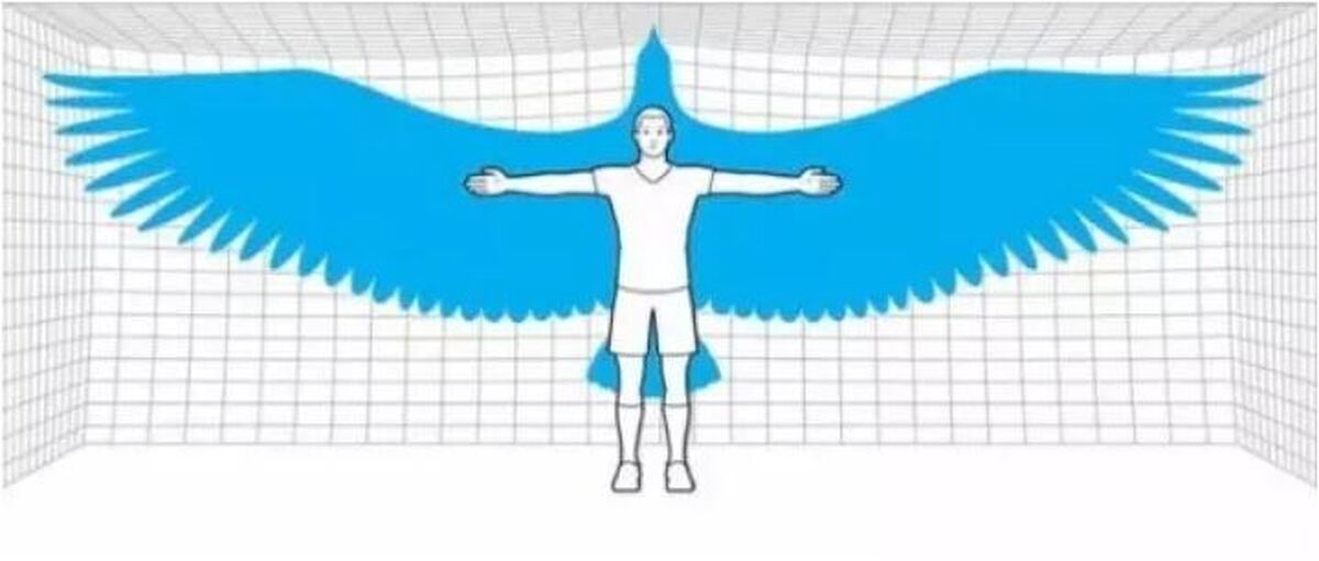 بررسی آناتومی بدن انسان در صورت داشتن بال!