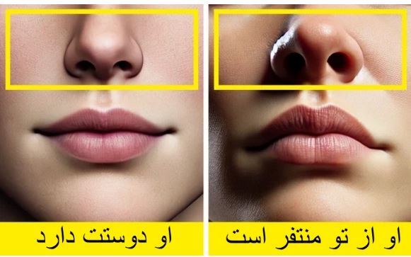 از کجا بفهمیم هوش هیجانی بالایی داریم یا خیر؟