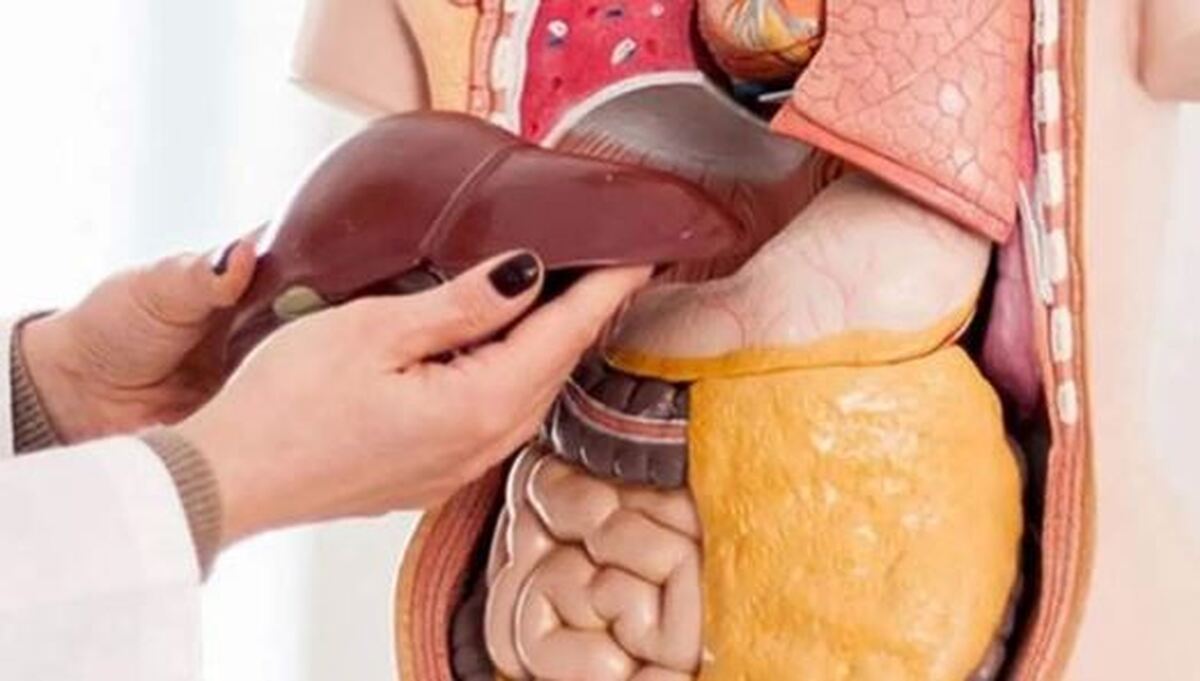 برای درمان کبد چرب چه کنیم؟