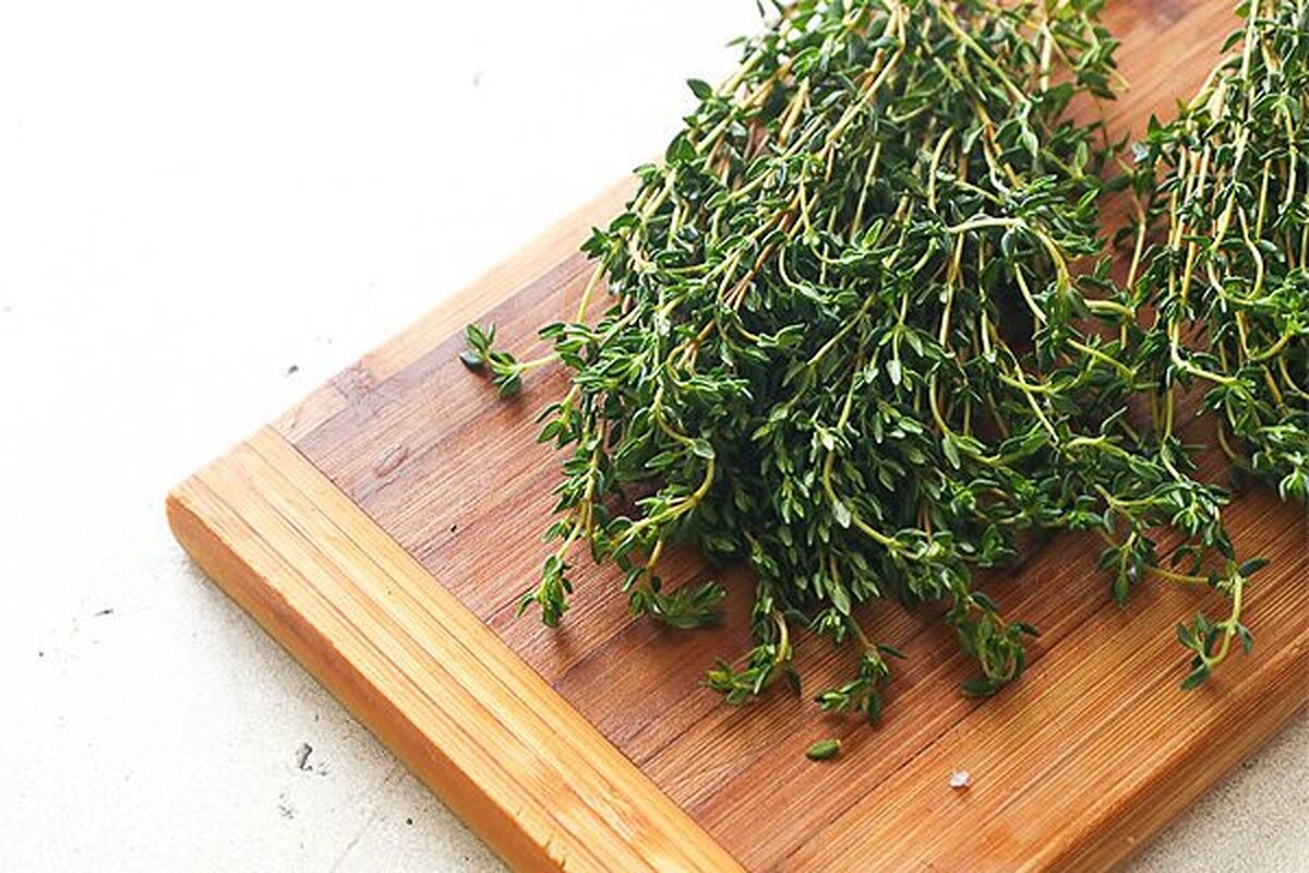 خواص چای آویشن را دست کم نگیرید!