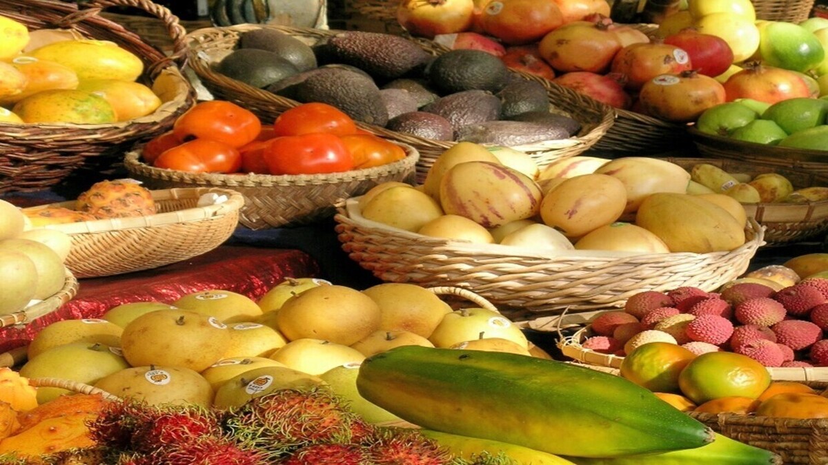 برای عملکرد طبیعی دستگاه گوارش: اهمیت فیبر در رژیم غذایی