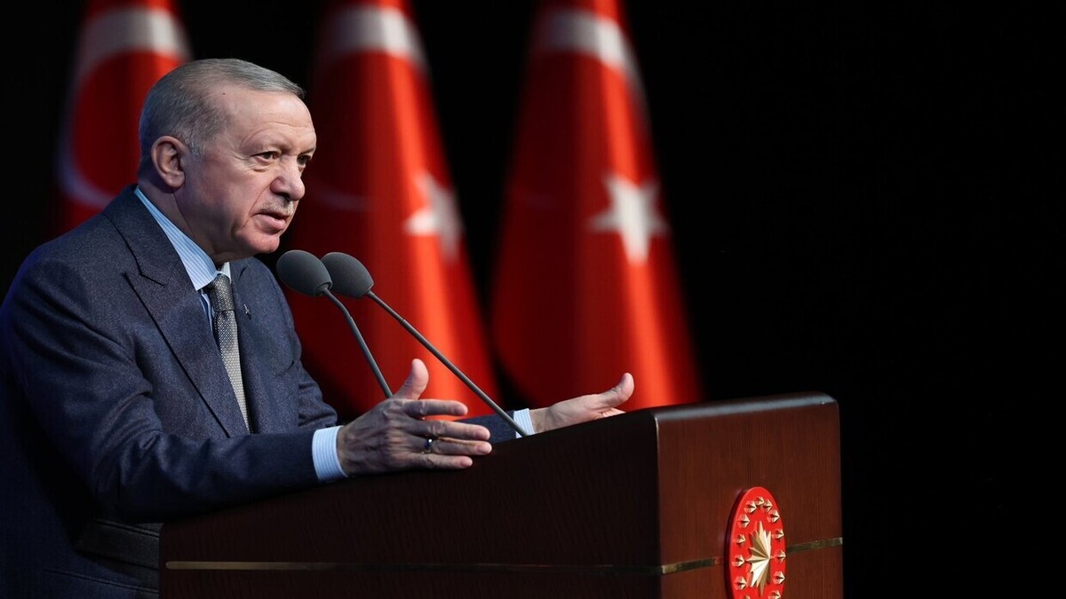 اردوغان: جنگ تجاری در جهان تشدید خواهد شد