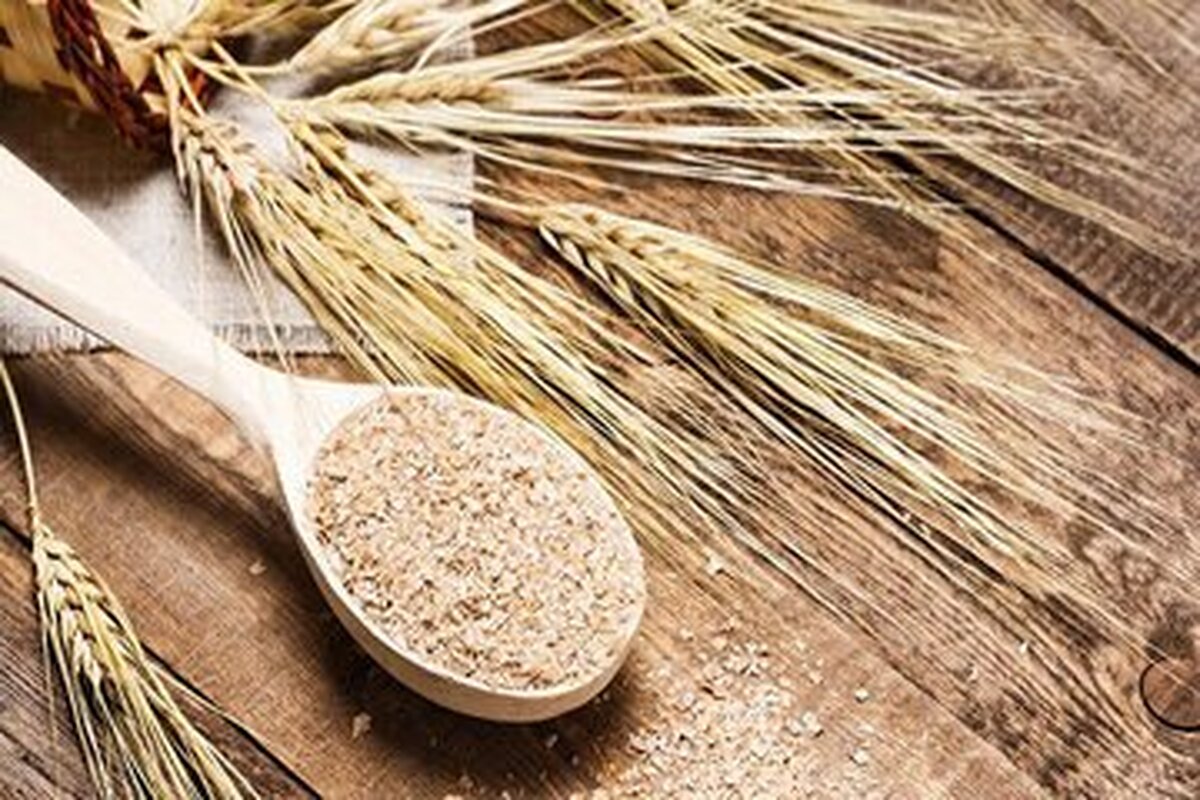 تاکید سازمان غذا و دارو به استفاده از نان تیره سبوس‌دار