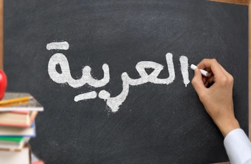 محبوب‌ترین زبان‌ها برای یادگیری در کشور‌های مختلف + نقشه