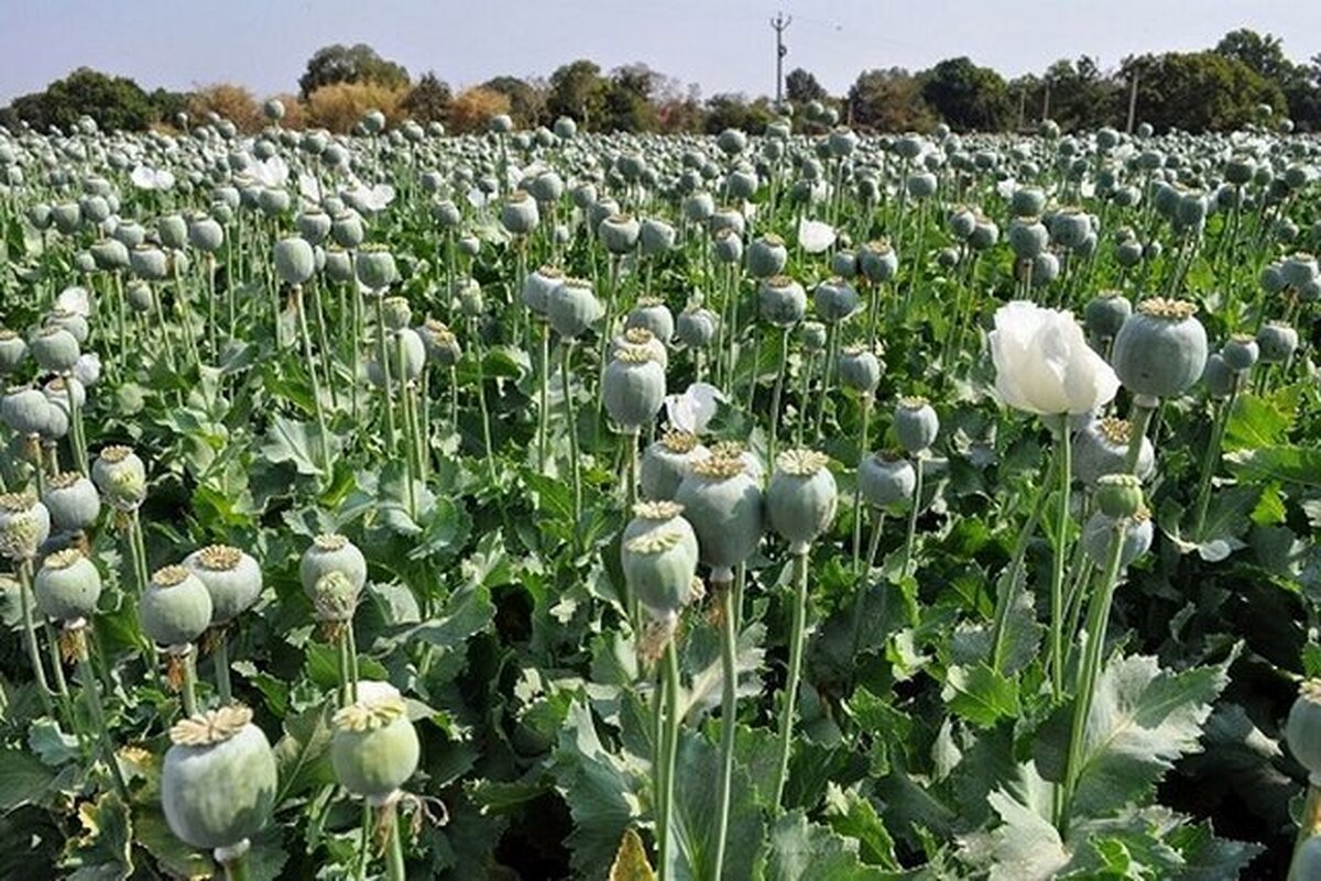 سد معشوره با اعتبارات قطره چکانی به نتیجه نمی‌رسد