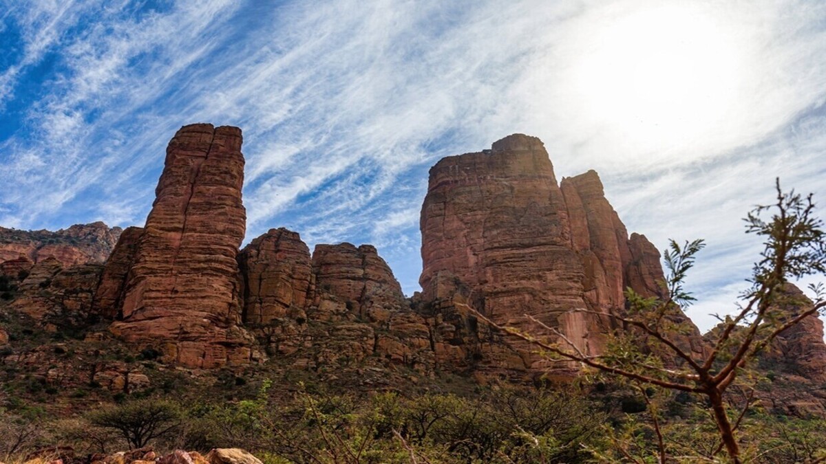 سفیر اتیوپی در روسیه: مسکو و آدیس آبابا در حال معامله با ارز‌های ملی هستند