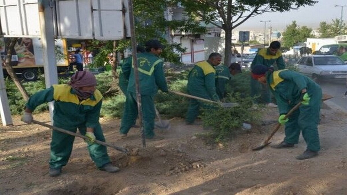 جداول کشی و فضای سبز از جمله اقدامات فرماندار مهران