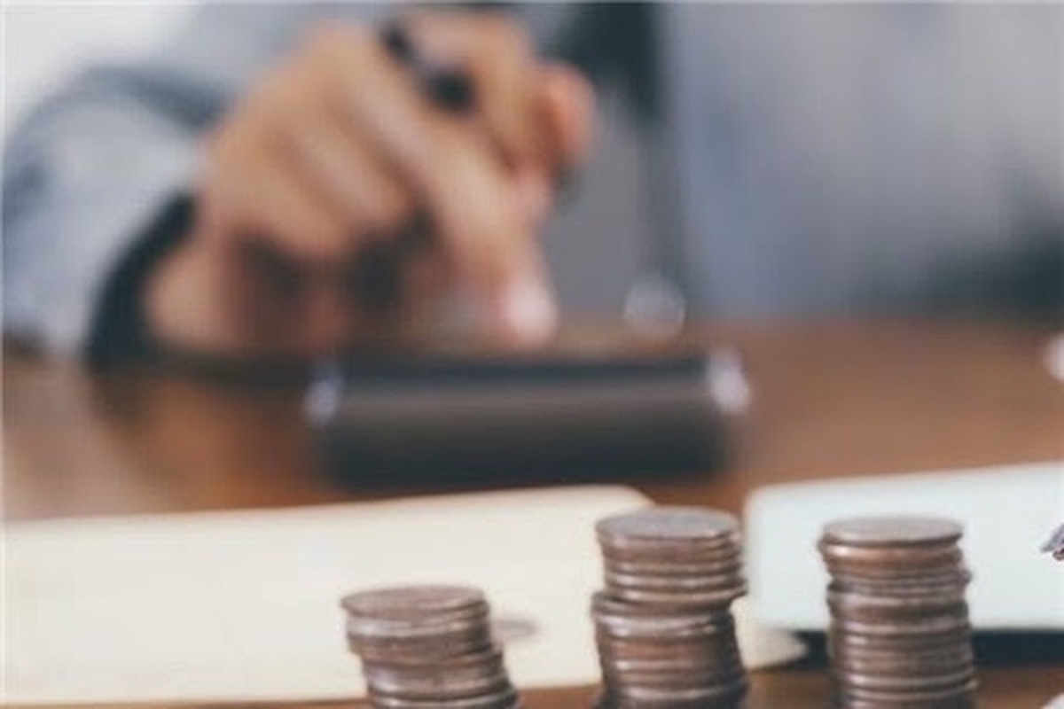 ضرورت اطلاع رسانی به شهروندان در حوزه مصارف مالیاتی