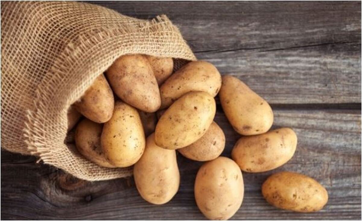 سیب زمینی هم به لیست غذا‌های لاکچری افزوده شد
