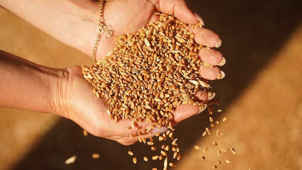 بریکس آماده سازی برای ایجاد اتحاد کشاورزی را آغاز کرد