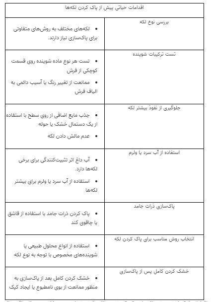 نیست و نابود کردن لکه‌های قدیمی فرش با ترفند مخصوص/ ویژه خانه تکانی عید