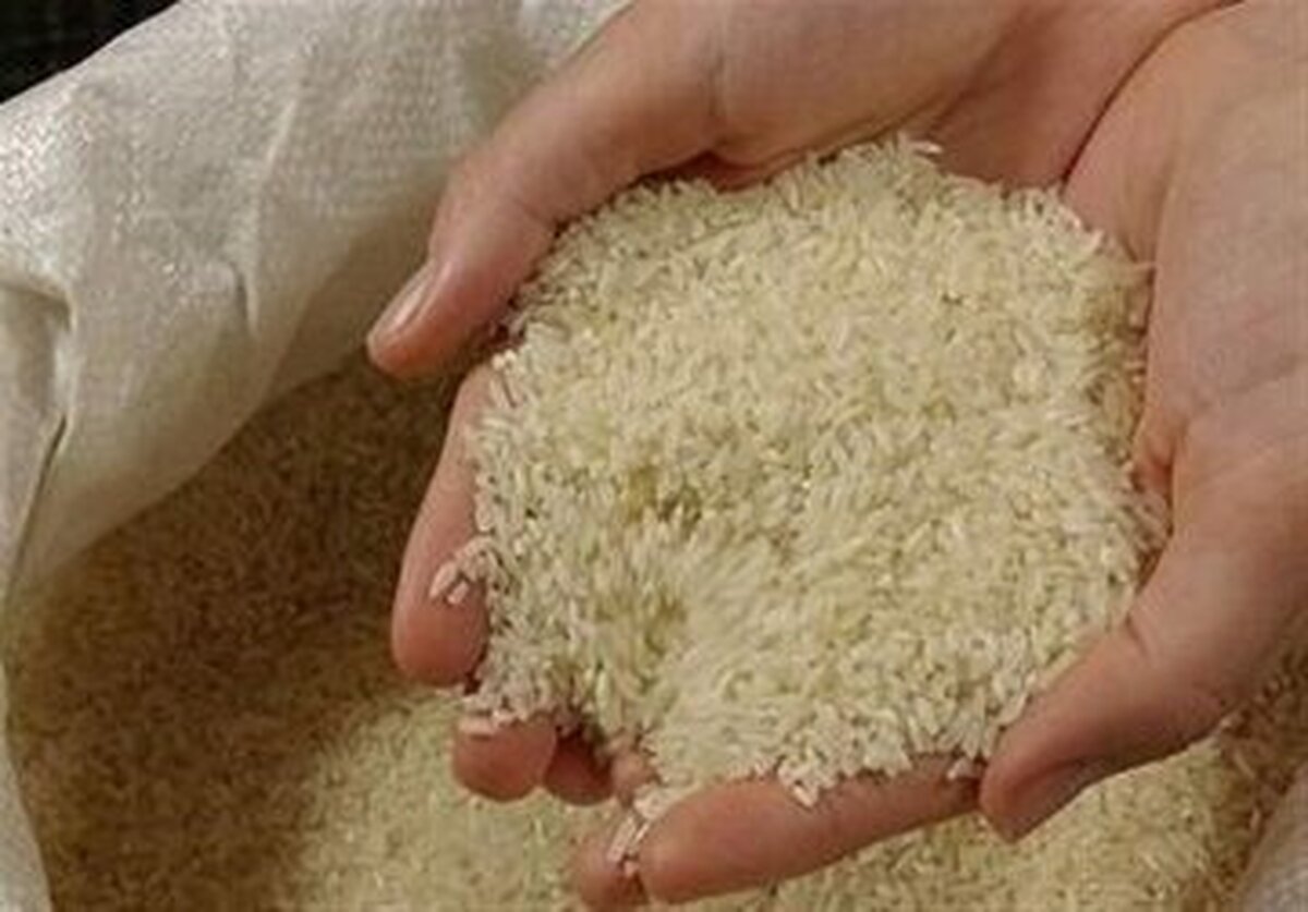 واردکنندگان برنج کالاهای خود را با قیمت ارز آزاد به فروش می رسانند