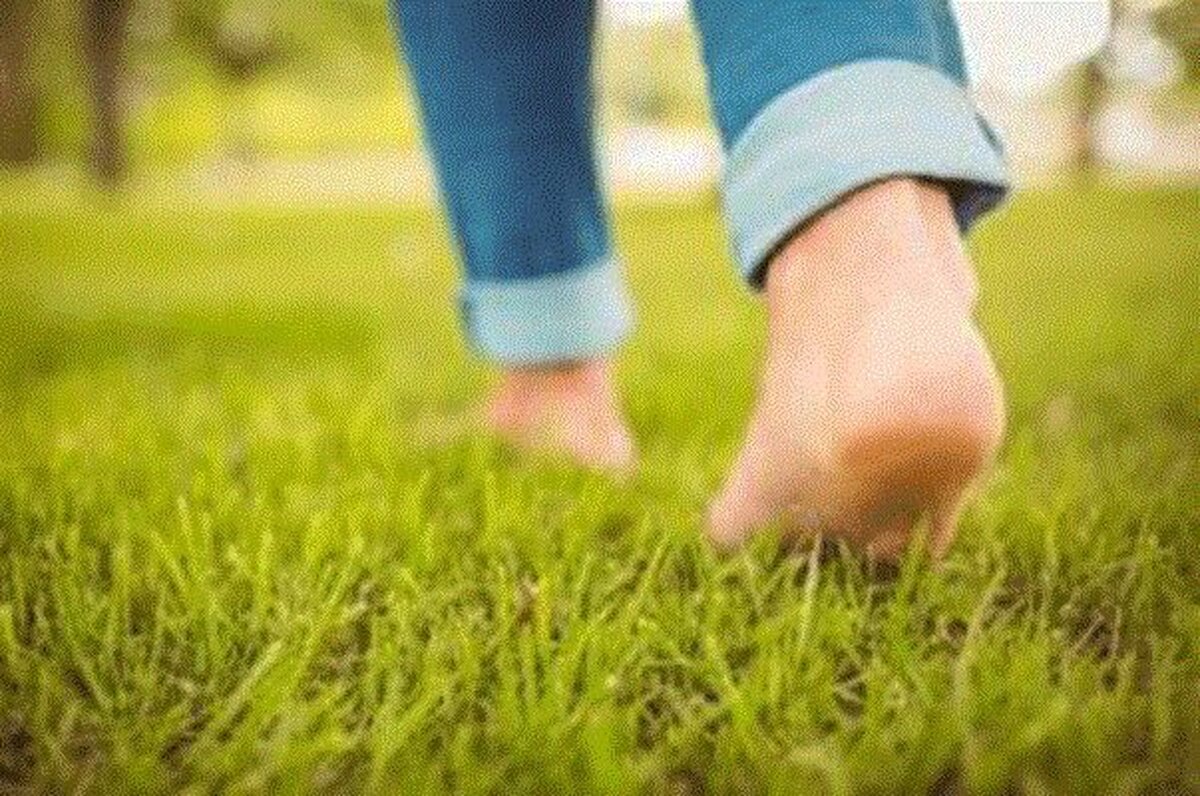 پیاده‌روی چه تاثیری بر اجابت مزاج دارد؟