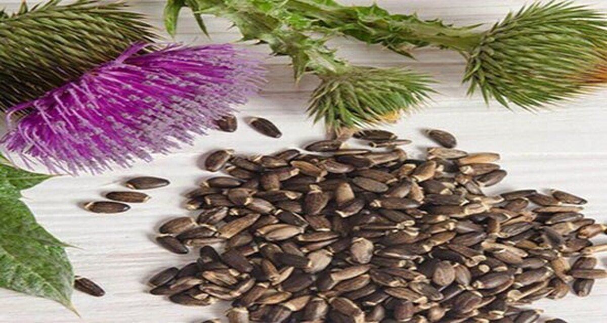 میزان اثربخشی خارمریم برای کاهش آنزیم‌های کبدی