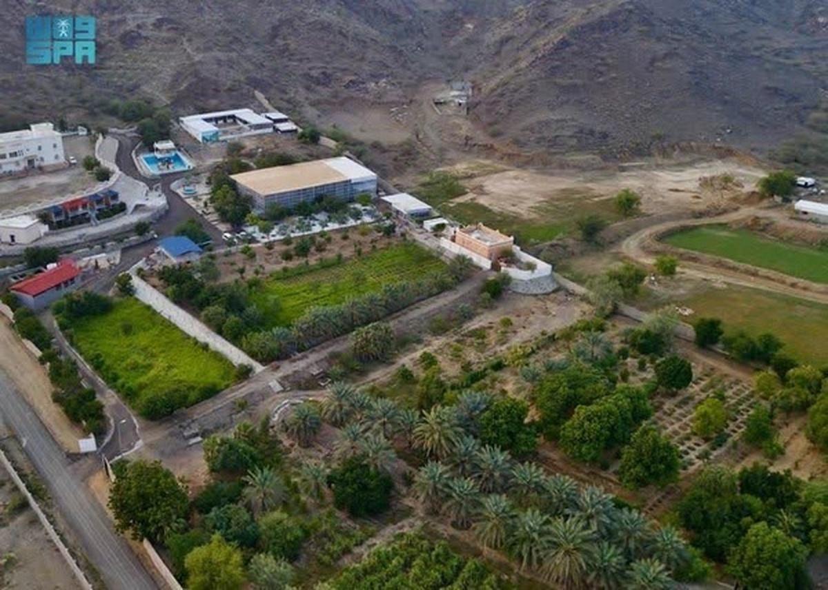 استان «الباحة» قطبی برای کشاورزی عربستان