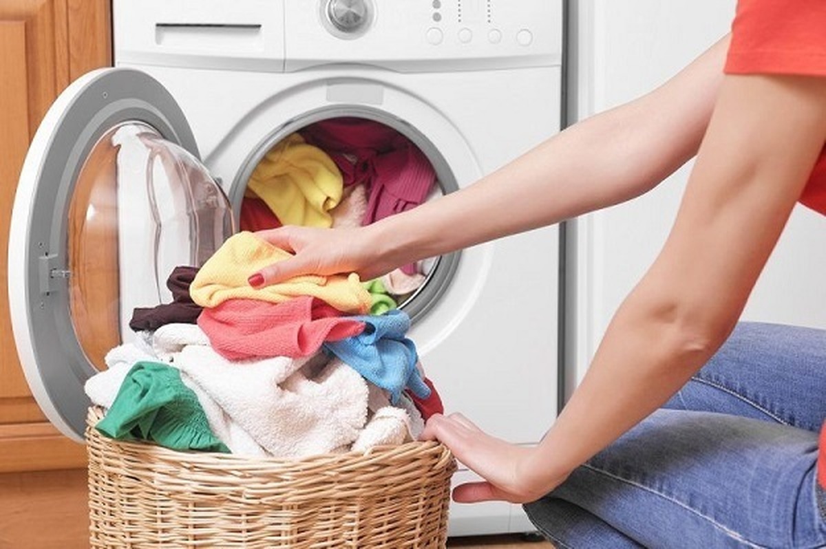 چرا کپک در محیط مرطوب رشد پیدا میکند؟