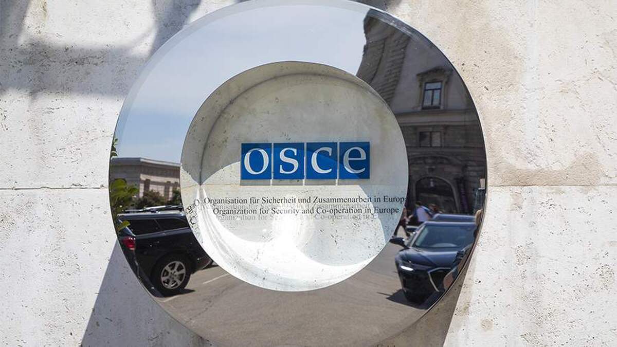 لوکاشویچ، نماینده دائم آمریکا، آغاز ریاست فنلاند در سازمان امنیت و همکاری اروپا را مبهم خواند.
