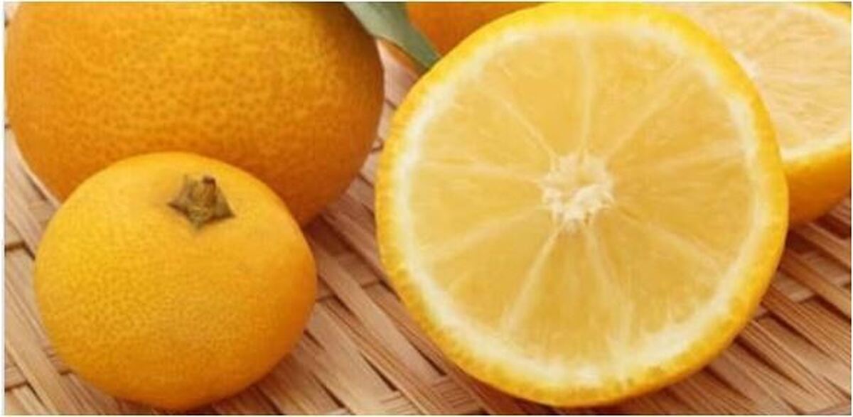 معرفی ۴ خاصیت برجسته و مهم میوه‌های پاییزی