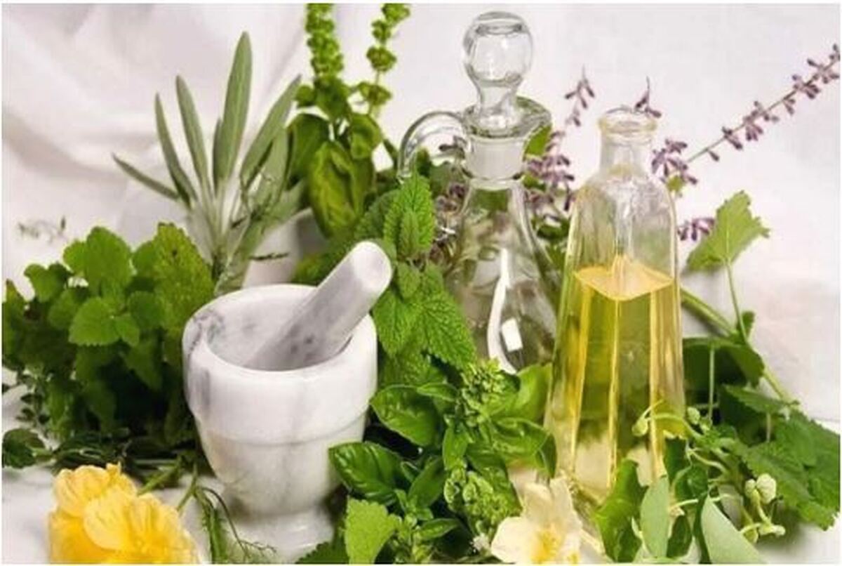 باور‌های اشتباه در مصرف گیاهان دارویی را اصلاح کنید