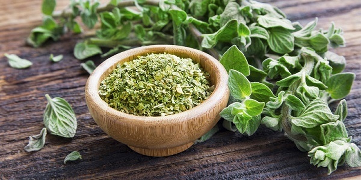 از خواص پونه برای درمان عفونت غافل نشوید!