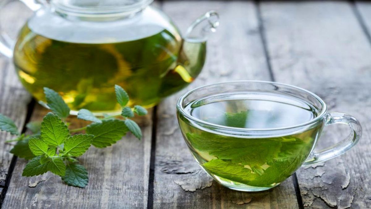 پونه کوهی سرشار از فیبر مناسب برای رفع اختلالات روده