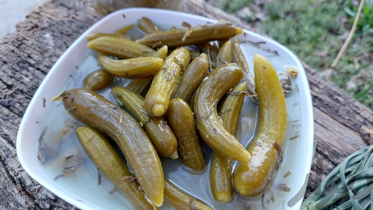 طرز نگهداری اصولی خیار شور برای تایم طولانی
