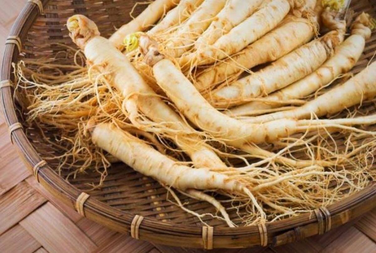 معرفی خواص و معایب مصرف «جینسنگ» که تا الان نمی‌دانستید!