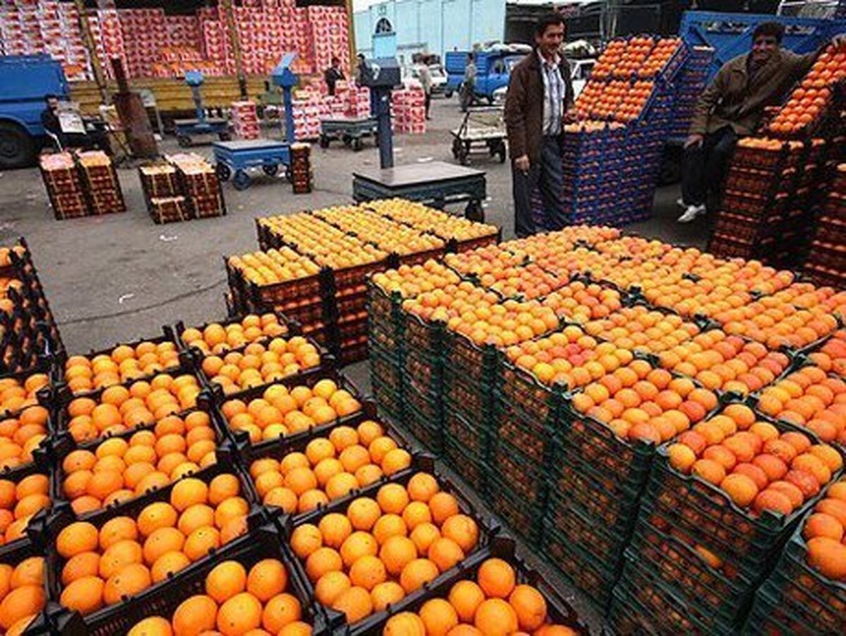 عرضه میوه عید و خرما ٢٠ درصد پایین‌تر از نرخ بازار