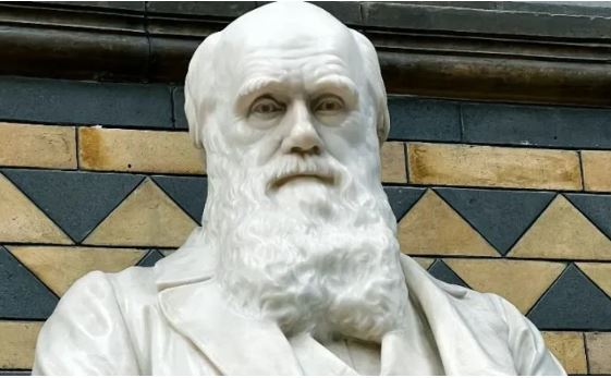 زندگینامه چارلز رابرت داروین؛ نویسنده کتاب جنجالی