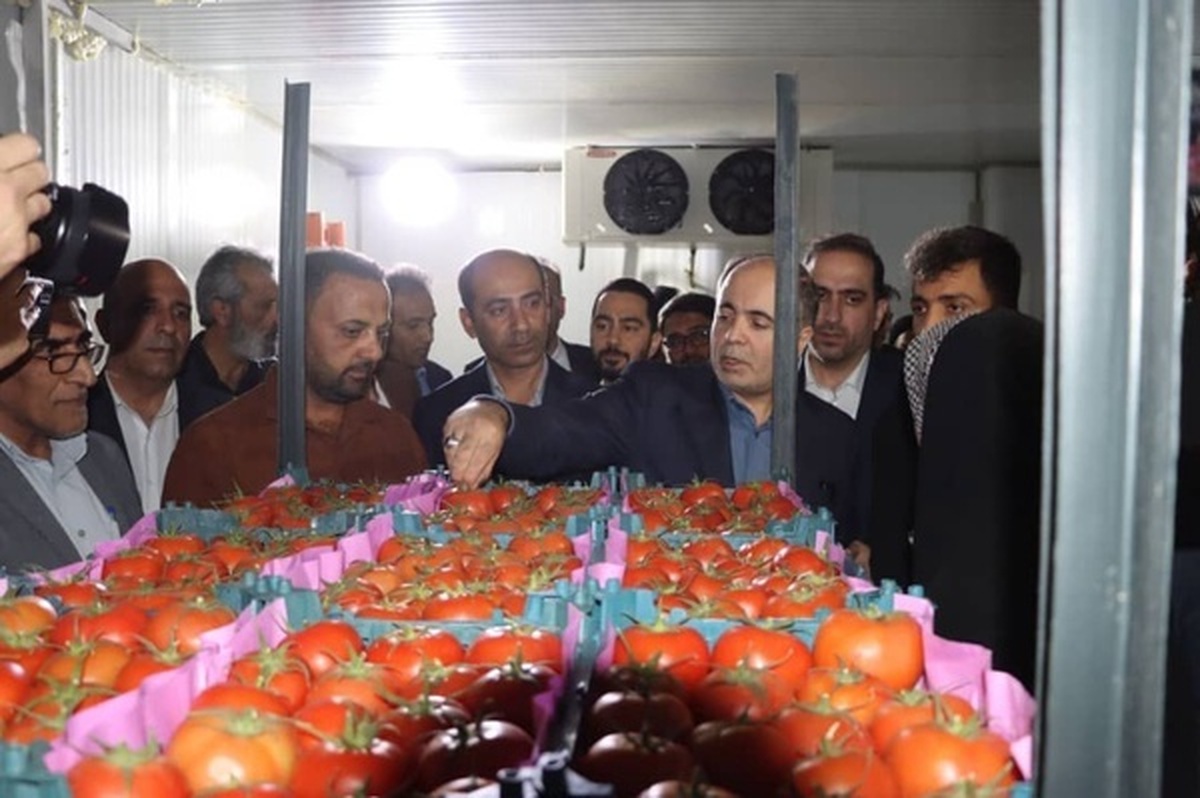 وزیر کشاورزی: مسیر صادرات محصولات کشاورزی هموار می‌شود