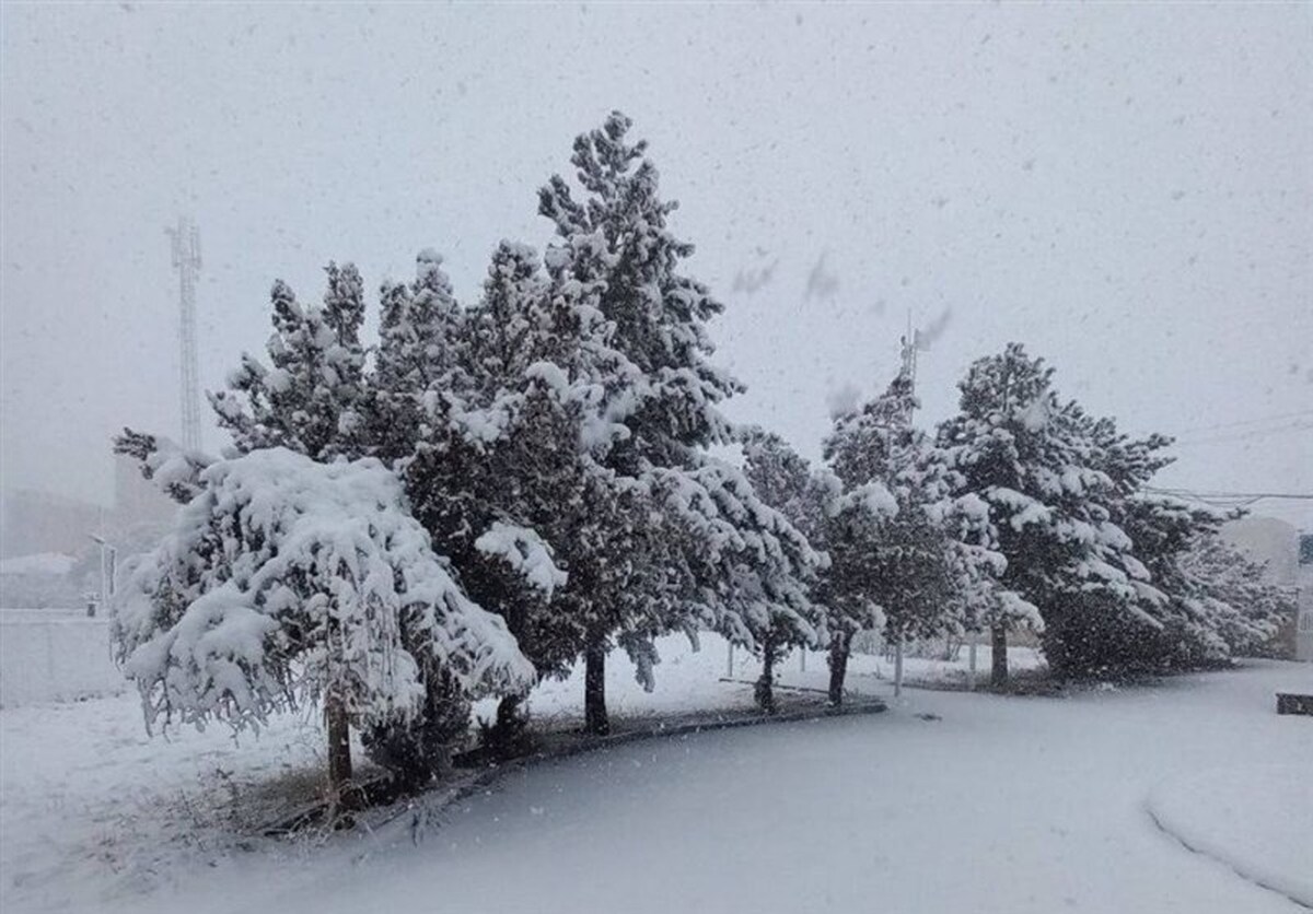 بارش برف و باران در کردستان