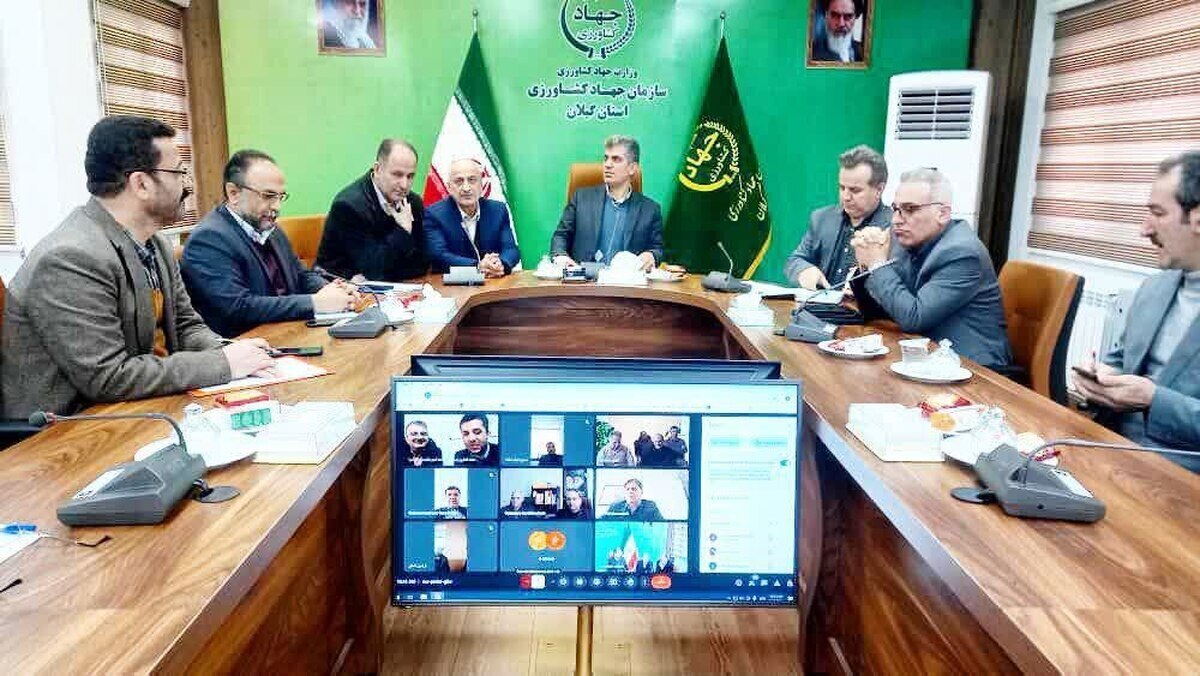 مدیرکل صمت:اخذ سود عرضه برنج بیش از این مقدار تعیین شده تخلف است