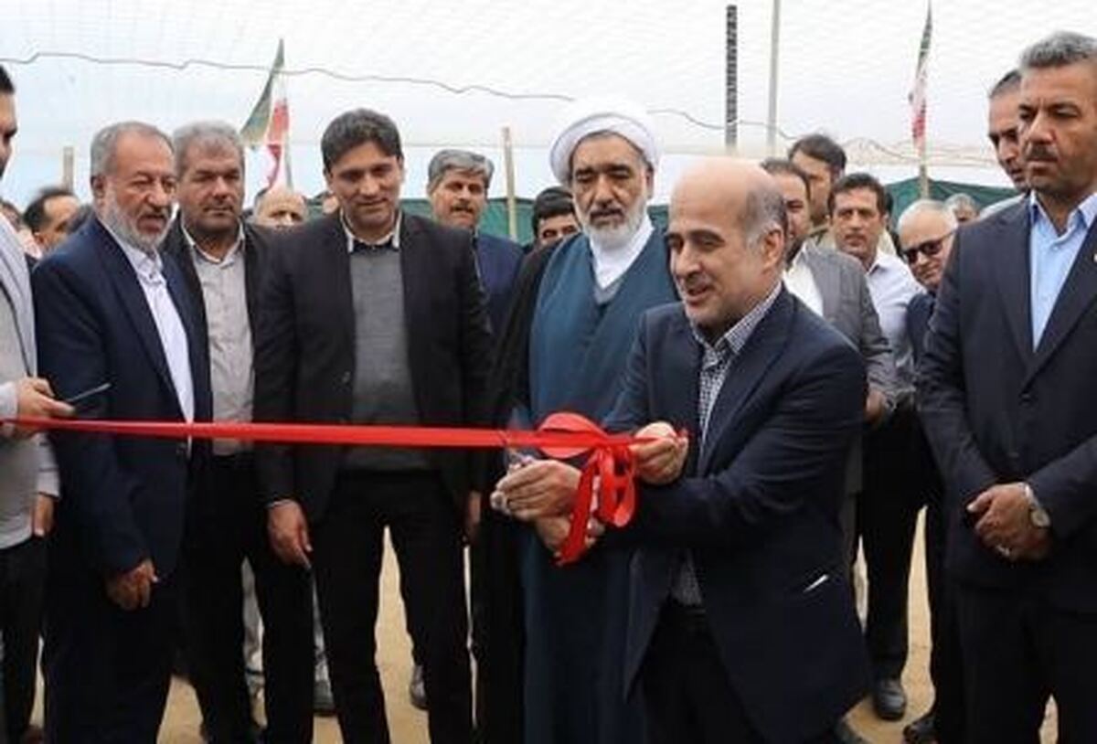سرمایه گذاری ۸۰۰ میلیاردی در پرورش ماهی بوشهر