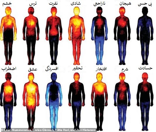 بین دوران باستان و مدرن| یک نقشه نشان می‌دهد که هر احساس در کجای بدن انسان قرار دارد